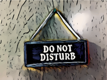 not disturb